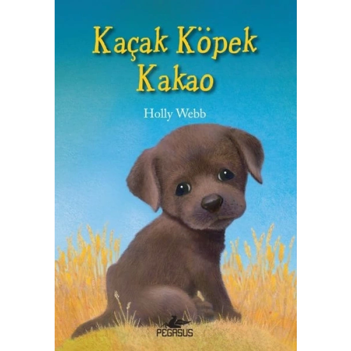 Kaçak Köpek Kakao