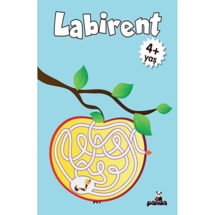 Labirent 4 Yaş