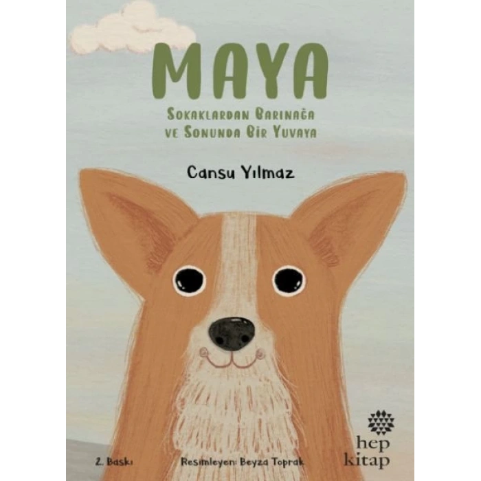 Maya - Sokaklardan Barınağa ve Sonunda Bir Yuvaya