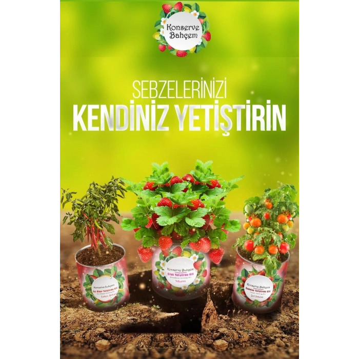 Mey İthalat®  Konserve Bahçem Evde Konservede Fındık Turp Yetiştirme Kiti