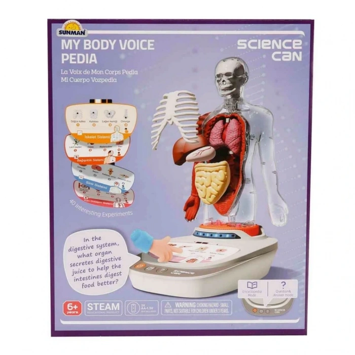 Mey İthalat® Sesli İnsan Vücudu Modeli Bilim Seti