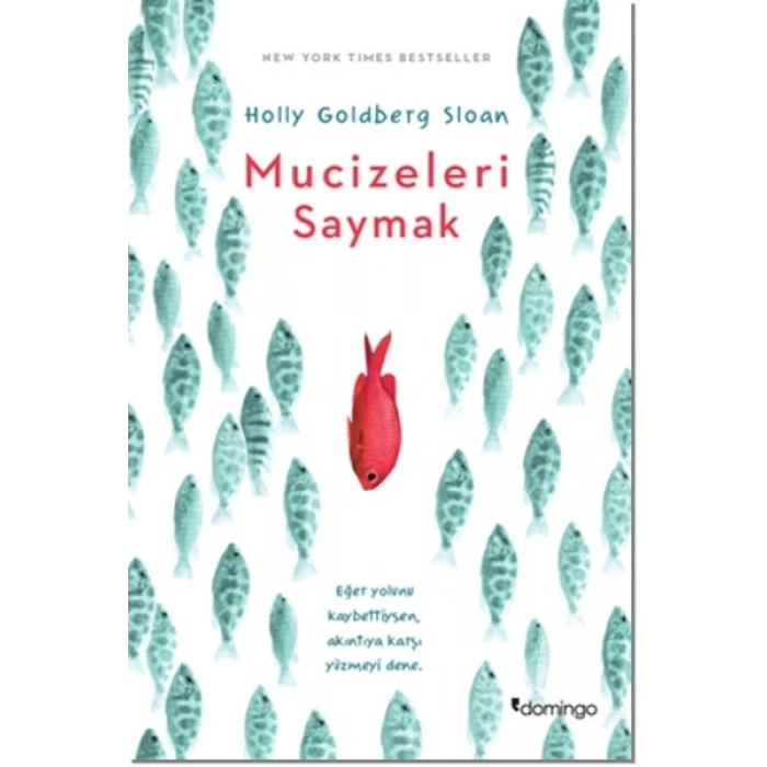 Mucizeleri Saymak