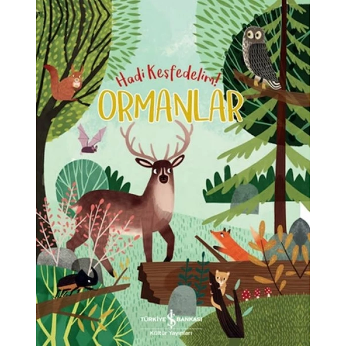 Ormanlar - Hadi Keşfedelim!