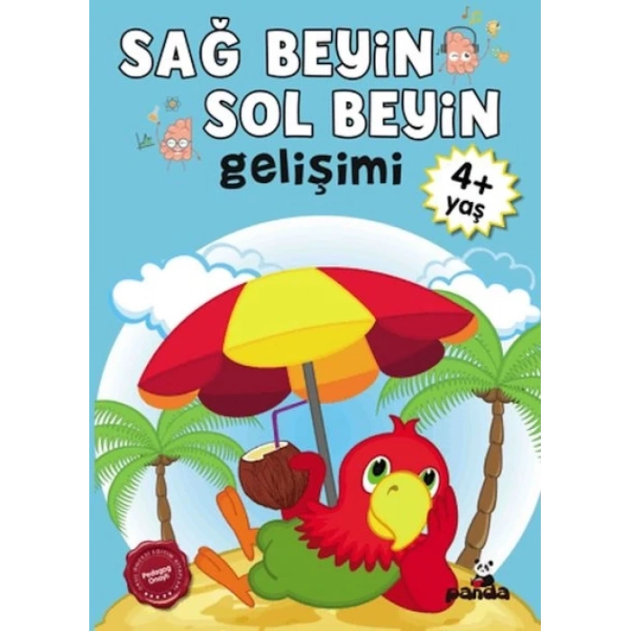 Sağ Beyin-Sol Beyin Gelişimi 4+ Yaş    
