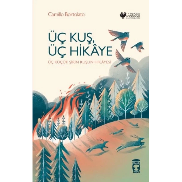 Üç Kuş, Üç Hikâye