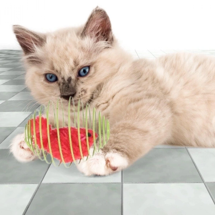 Yaylı Metal Fareli Kafes Kedi Oyun Topu Sıçrayan Spiral Kedi Topu (5047)