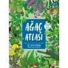 Ağaç Atlası