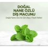 Mey İthalat®   Doğal Diş Macunu 90 Gr Nane Özlü