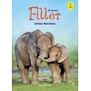 İlk Okuma - Filler