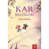Kar Melekleri