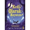 Kedi Olarak Hayatım