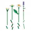 Mey İthalat® Botanicals Papatyalar 11508
