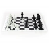 Okullara Özel Satranç Takımı (5047)