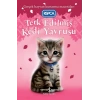 Terk Edilmiş Kedi Yavrusu