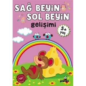 5 Yaş Sağ Beyin-Sol Beyin Gelişimi