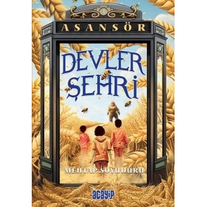 Asansör- 3 Devler Şehri