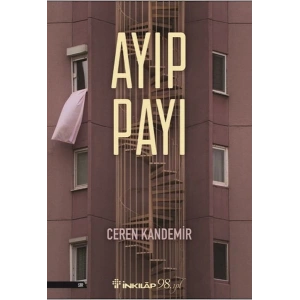 Ayıp Payı
