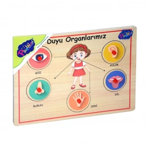 Nessiworld 166/167 Onyıl, Ahşap Tutmalı Organlar