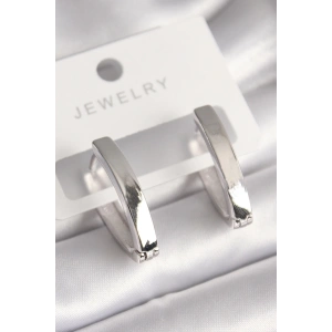 Pirinç Gümüş Renk Kadın Küpe