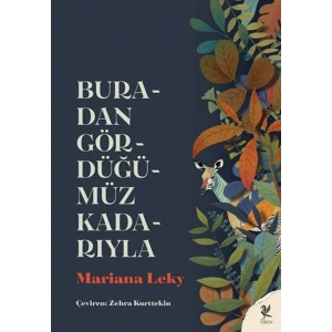 Buradan Gördüğümüz Kadarıyla