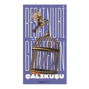 Çalıkuşu (Yeni Kapak)