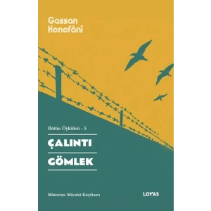 Çalıntı Gömlek Bütün Öyküleri -5