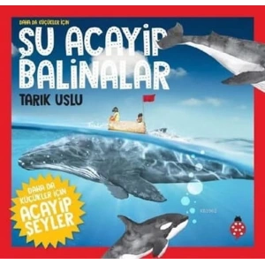 Daha Küçükler İçin Şu Acayip Balinalar