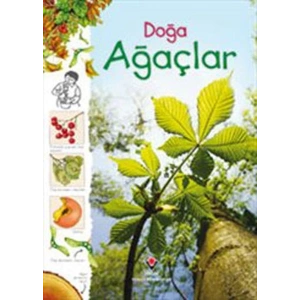 Doğa - Ağaçlar