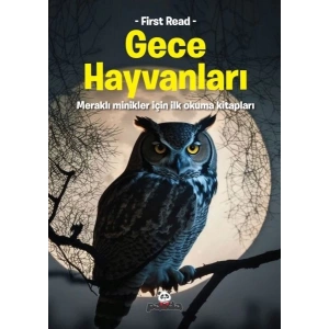 Gece Hayvanları