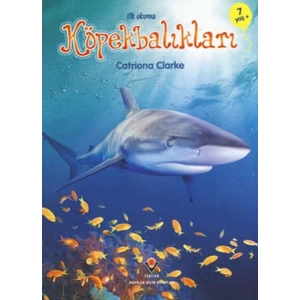 İlk Okuma - Köpekbalıkları