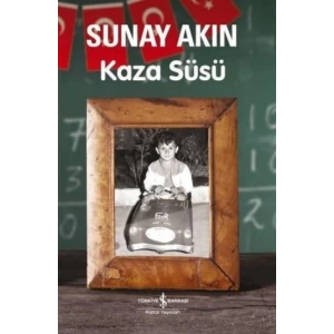 Kaza Süsü
