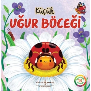 Küçük Uğur Böceği