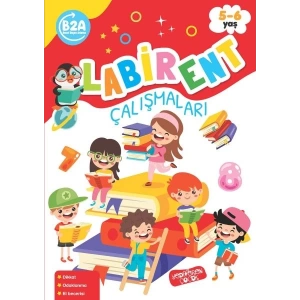 Labirent Çalışmaları