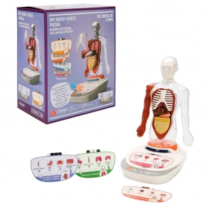Mey İthalat® Sesli İnsan Vücudu Modeli Bilim Seti