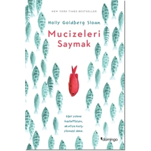 Mucizeleri Saymak