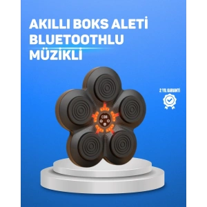 Mey İthalat® Müzikli Boks Duvar Paneli Akıllı Işık Sistemli Refleks ve Kondisyon Aleti