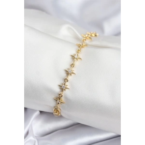 Pirinç VIP Seri Gold Renk Sıralı Kutup Yıldızı Kadın Bileklik