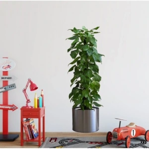 Saksılı Bitki Tasarımlı Yapışkanlı Sticker Resim 90*30 cm (5047)