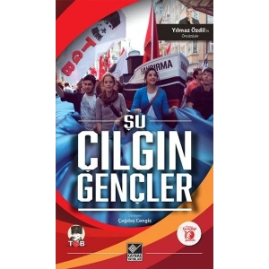 Şu Çılgın Gençler
