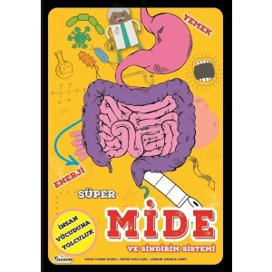 Süper Mide Ve Sindirim Sistemi