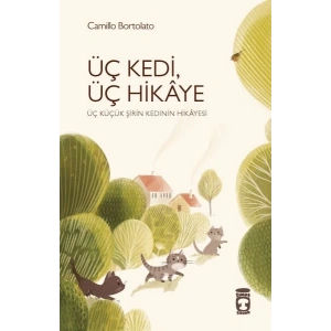 Üç Kedi Üç Hikaye