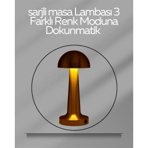 Mey İthalat® USB Şarjlı Dokunmatik LED Masa Lambası – 3 Renk Modu & Dimmer