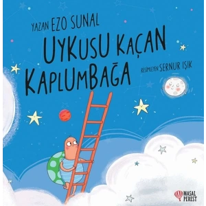 Uykusu Kaçan Kaplumbağa