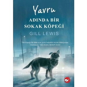 Yavru Adında Bir Sokak Köpeği