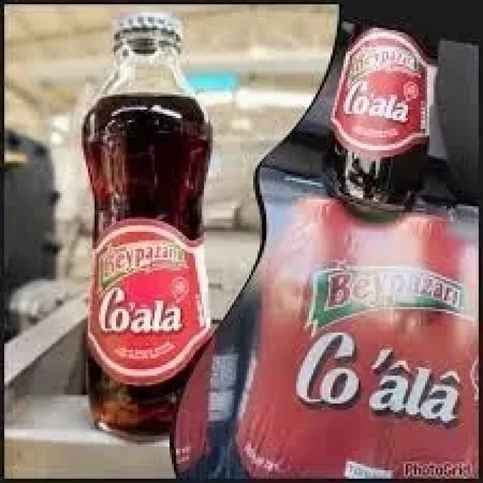 Beypazarı Co Ala 200 Ml x 24 Adet 24ad