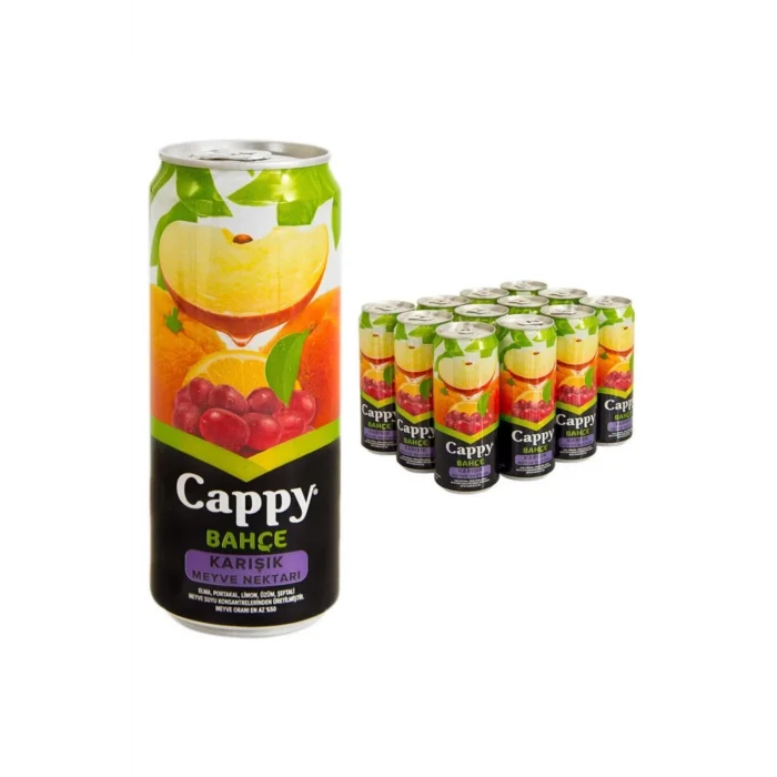Cappy Kutu Karışık 330 Ml x 12 Adet