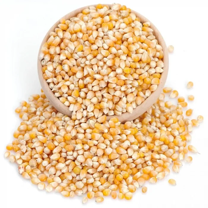 Çuval Mısır Patlatmalık 25 Kilogram (1 KG Fiyatı)