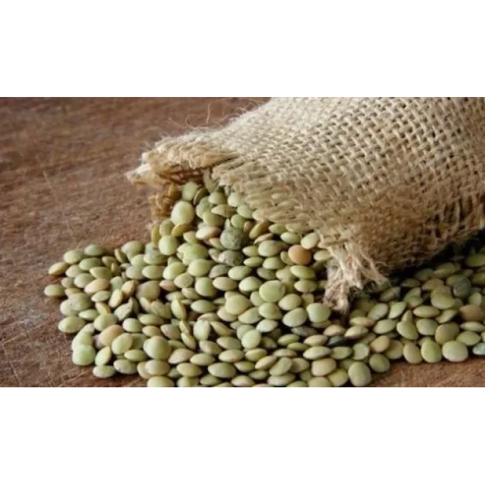 Çuval Yeşil Mercimek 25 Kilogram (1 KG Fiyatı)