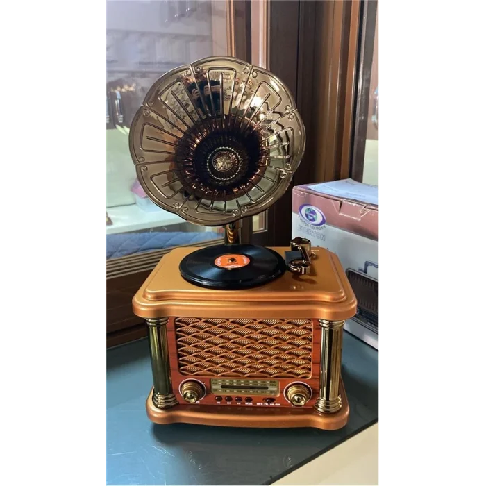 Everton Rt-586  Bluetooth Fm-Usb-Tf-Aux  Şarjlı Nostaljik Radyo