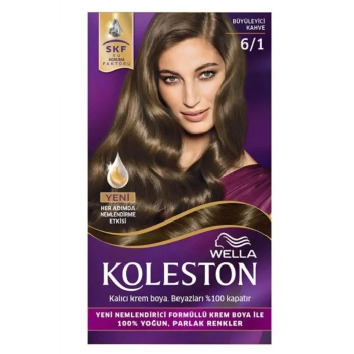 Koleston  Boya 6-1 Büyüleyici Kahve